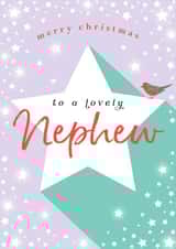 Classic Christmas Card - For A Lovely Nephew - Robin created by Michelle Fiedler Design