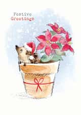 Cute Christmas Card - Hedgehog In Flower Pot - Festive Greetings created by Paper Shed Design