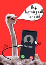 A funny 'call' for those well qualified at celebrating birthdays created by Happy Little Me Co.
