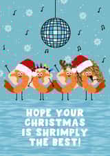 Funny Christmas Card - Shrimply The Best - Tina Turner created by Pink Peach Cards
