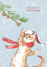 Cute Christmas Card - Seasons Greetings - Ginger Cat In A Scarf created by Paper Shed Design