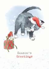 Cute Christmas Card - Seasons Greetings - Cat And A Robin created by Paper Shed Design