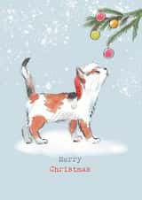 Cute Christmas Card - Merry Christmas - Cat Looking At Baubles created by Paper Shed Design