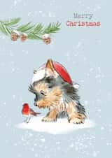 Cute Christmas Card - Merry Christmas - Yorkie & Robin created by Paper Shed Design