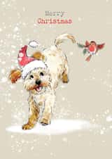 Cute Christmas Card - Merry Christmas - Jumping Cockapoo & Robin created by Paper Shed Design