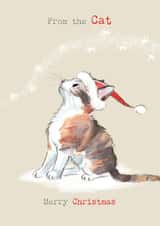 Cute Christmas Card - From The Cat - Kitten Illustration created by Paper Shed Design