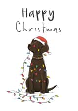 Cute Christmas Card - Chocolate Lab - Lights created by Lucy Driver