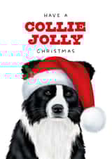 Cute Christmas Card - Border Collie - Collie Jolly created by badgerbee design