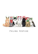 Funny Christmas Card - Feline Festive - Cats created by badgerbee design