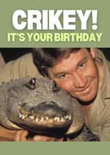 FACESWAPBETA147 created by thortful