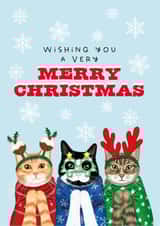 Funny Christmas Card - Cats In Christmas Jumpers - Snowflakes created by badgerbee design