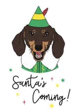 Cute Christmas Card - Santa's Coming! - Dachshund created by Georgia Fry