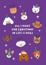 Funny Cute Dog Christmas Card created by Xoxo Designs by Ruth