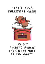 Funny Christmas Card - It's Got Fucking Robins On It created by mungo and shoddy