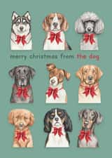 Cute Christmas Card - Merry Christmas From The Dog - Bowties created by lil wabbit