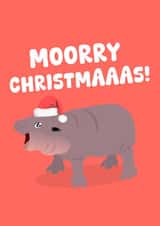 Funny Christmas Card - Moo Deng - Baby Hippo - Mooray Christmas! created by PopDogShop