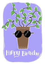Funky Quirky Birthday Card – House Plant – Happy Birthday created by Lucky Fox