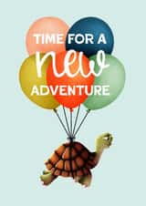 Cute Leaving Card - Floating Tortoise created by Folio | Ian Owen