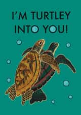 Funny, naughty anniversary or Valentine turtle card for your love interest created by Chindian Artist