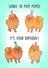 Cute Birthday Card - Pomeranian - Shake Ya Pom Poms! created by Poppy & Mabel