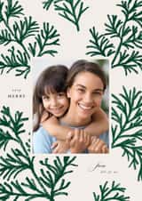 Personalised Christmas Photo Card created by Vivian Yiwing - Classic Christmas Card - Pine Tree Spruces