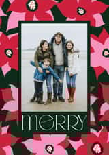 Personalised Christmas Photo Card created by Shari Margolin Design - Arty Christmas Card - Poinsettia