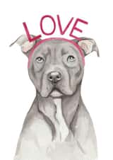 Cute Valentine's Day Card - Staffordshire Bull Terrier - Love created by lil wabbit