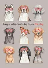 Cute Valentine's Day Card - From The Dog - Heart Sunglasses created by lil wabbit