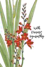 Traditional Sympathy Card - Flowers created by David Bennett