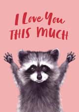 Cute Valentine's Day Card - Racoon - I Love You This Much created by Debbie Daley Illustrations