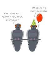 Funny Birthday Card - Rude Pigeons created by AJS STUDIOS