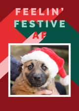 Personalised Christmas Photo Card created by Cindy Reynolds - Funny Christmas Card - Feelin' Festive AF