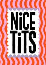 Funny Valentine's Day Card - Nice Tits created by Nicola Watson