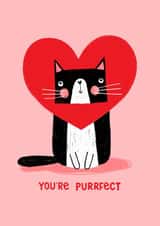 Cute Valentine's Day Card - You're Purrfect created by Nicola Watson
