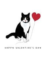 Cute Valentine's Day card - From the Cat - Black and White Tuxedo Cat created by badgerbee design