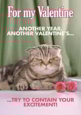 Funny Valentine's Card - Grumpy Cat created by Quitting Hollywood