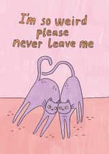 Funny Valentine's Day Card - Cats - Please Never Leave Me created by Sunpatch Society