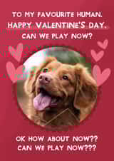 Personalised Valentines Day Photo Card created by From The Dog - Cute Valentine's Day Card - From the Dog - Can We Play Now?