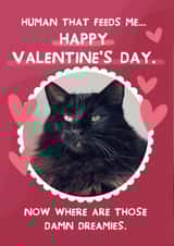 Personalised Valentines Day Photo Card created by From The Dog - Cute Valentine's Day Card - From The Cat - Hearts