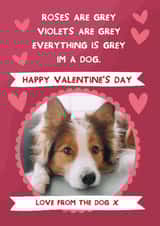 Personalised Valentines Day Photo Card created by From The Dog - Cute Valentine's Card - From The Dog - Hearts