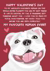 Cute Valentine's Card - From the Dog - White Staffordshire Bull Terrier created by From The Dog