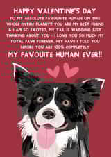 Cute Valentine's Day - From the Dog - Border Collie created by From The Dog
