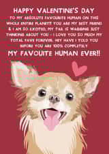 Cute Valentine's Day Card - From the Dog - Chihuahua created by From The Dog