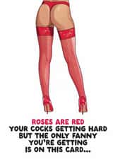 Naughty Valentine's Day Card - Roses Are Red - Lingerie created by Filthy Sentiments