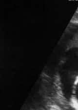 Personalised Pregnancy Photo Card created by Paper & Wool - We're having a baby pregnancy announcement card