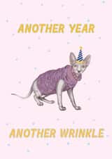 Funny Birthday Card - Wrinkly Sphynx Cat created by amysrvc illustration