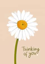Sweet Thinking of You/Sympathy Card - Daisy - Heart created by Fliss Muir