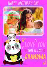 Personalised Mothers Day Photo Card created by Jennibdraws - Cute Panda Mothers Day Card for Grandma - Sweet - Love You Lots Grandma