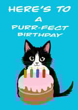 Fun Cat Birthday Card ‘Heres to a Purr-fect birthday ’ for Friends or Cat Lovers created by Sarah Barker Illustrations