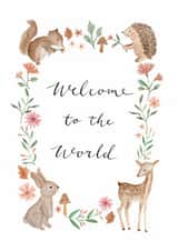 Cute New Baby Card - Welcome To The World - Woodland created by Sage and Hart
